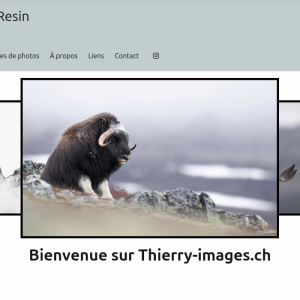 Thierry Images