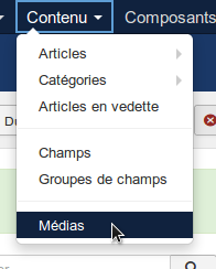 Menu: Contenus > Médias